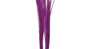 WhiskPR